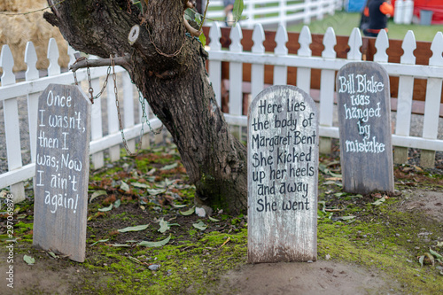 Scene of Heiser Farms, Pumpkin patch for halloween or thanksgiving holiday photo