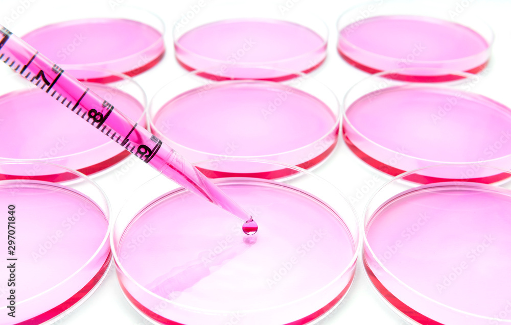 Subculturing of mammalian cells on the cell culture dish Subculturing of mammalian cells on the cell culture dish