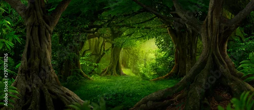 Panel kuchenny z motywem Deep tropical jungles of Southeast Asia in august
