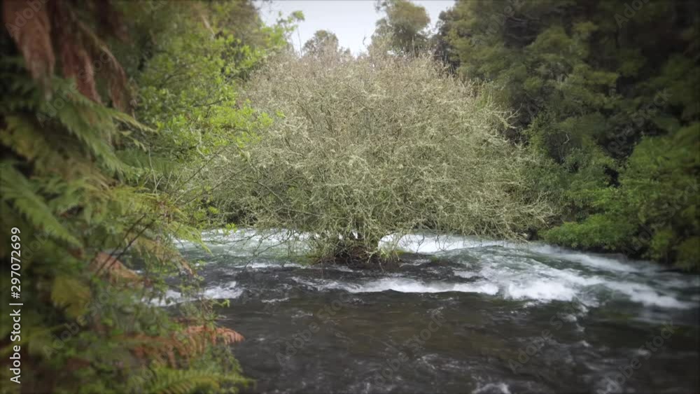A river flows around where a single tree stands A river flows around where a single tree stands