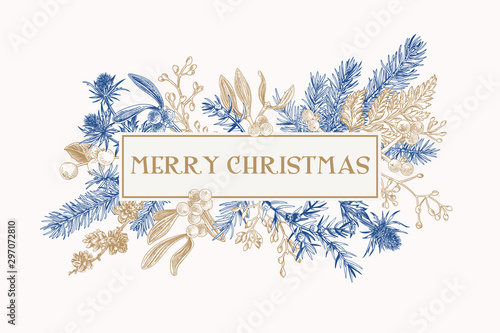 Christmas frame with winter plants.