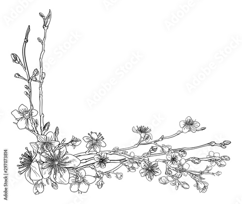 Japanese or Chinese style spring floral illustration. Cherry or peach flowers blossom tree abstract background design element pattern.