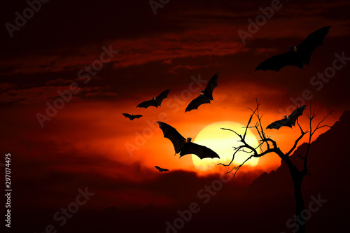 Horror in Halloween night with flying bats and tree silhouette, dark evening