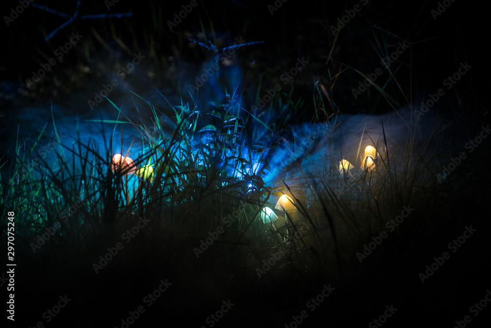Fantasy glowing mushrooms in mystery dark forest close-up. Beautiful macro shot of magic mushroom or three souls lost in avatar forest. Fairy lights on background with fog