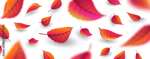 Autumn background with falling red and brownish orange leaves on light backdrop with foreground blur, fall texture