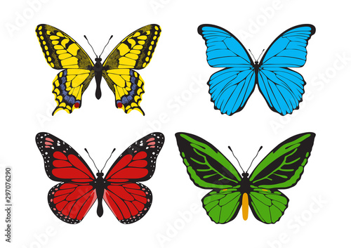 Butterfly set: Papilio machaon, Morpho didius, Danaus plexippus, Ornithoptera priamus. © vectorforjoy