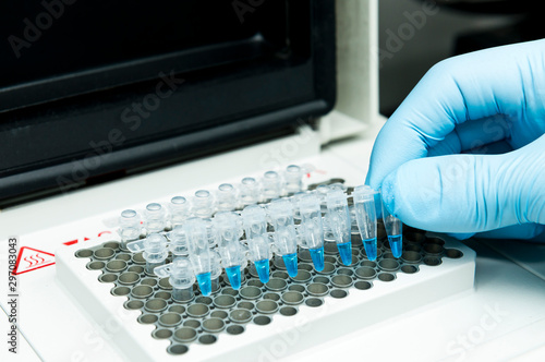 A researcher put a strip of 8 PCR tubes on the thermal cycler for DNA amplification