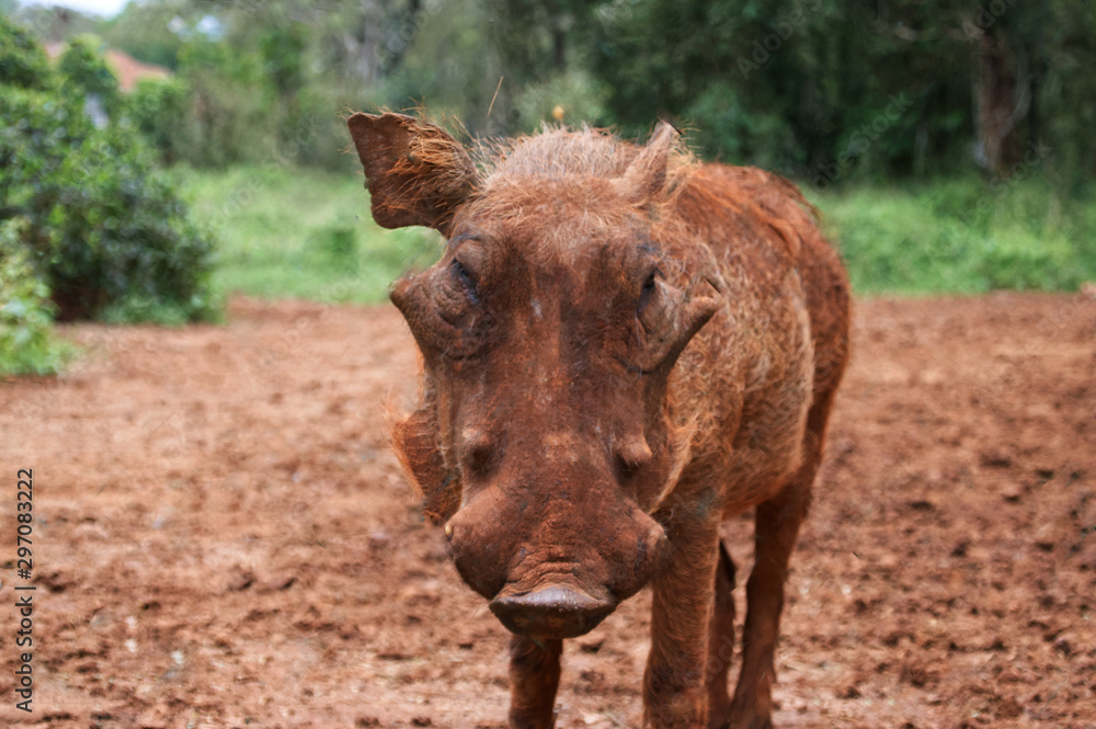 Fototapeta premium Reisefotos