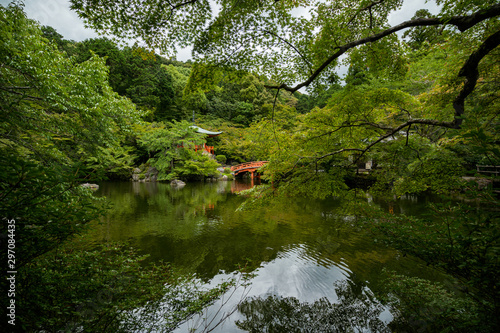 京都 新緑の醍醐寺と夏の景色