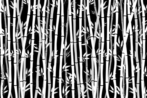 Fototapeta Naklejka Na Ścianę i Meble -  Abstract pattern - bamboo forest. White drawing of bamboo stalks on a black background. Tropical plant texture. Vector illustration of bamboo sticks.