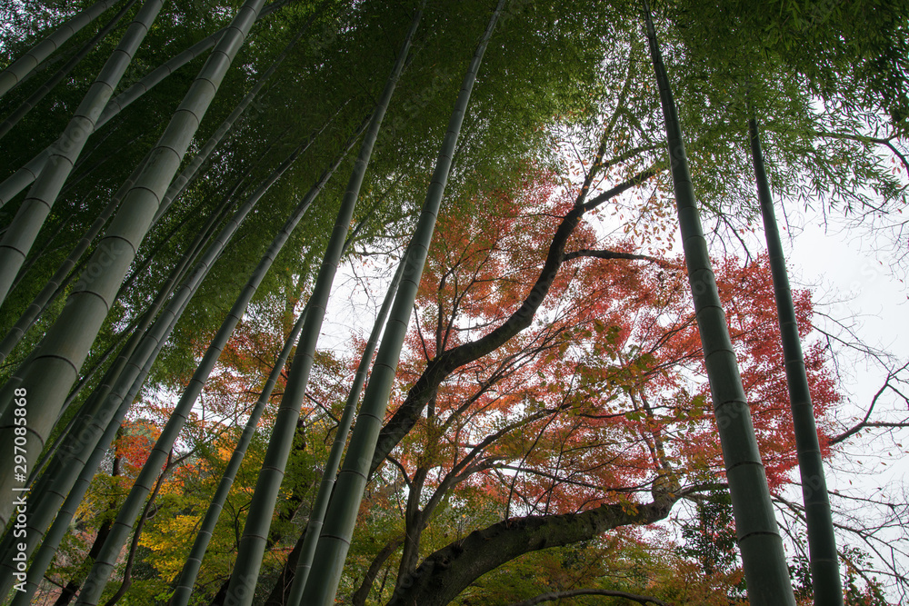 Naklejka premium 京都_高台寺