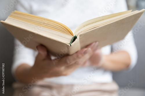 Old woman hands holding reading book, close up view