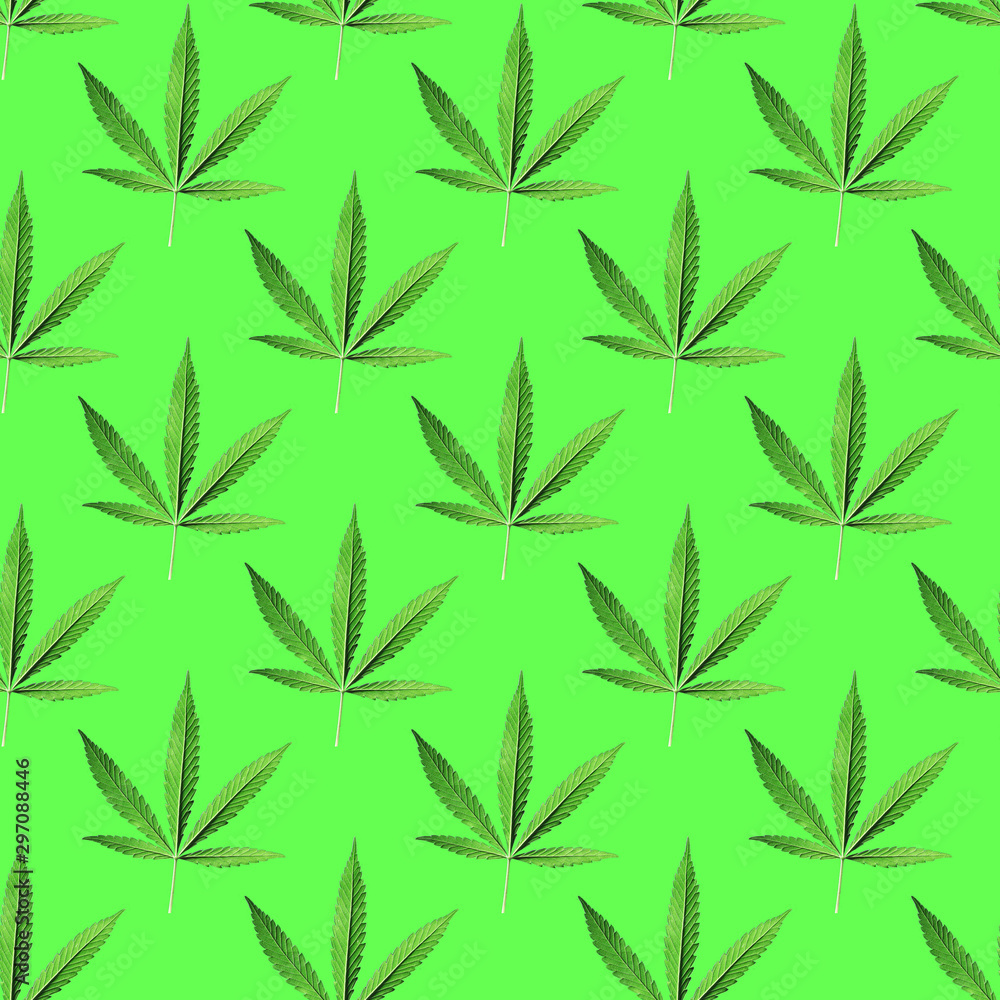 Seamless background with a green hemp branch with five fingers of leaves, marijuana on a soft green background, medical legalization of cannabis. Modern style isometric concept.