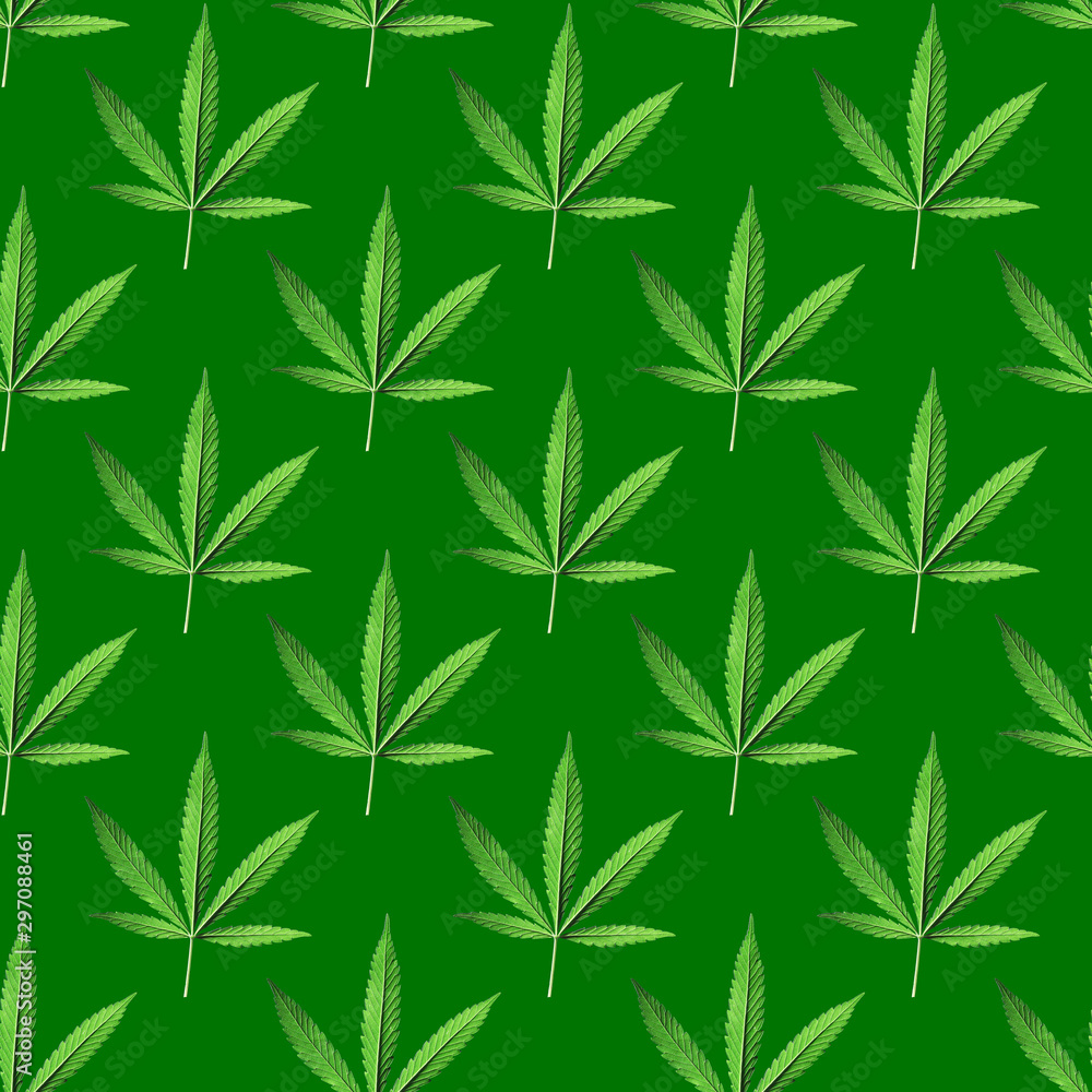 Seamless background with a green hemp branch with five fingers of leaves, marijuana on a dark green background, medical legalization of cannabis. Modern style isometric concept.