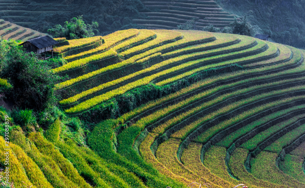 Landscape view of rice fields in Mu Cang Chai District, VIetnam Landscape view of rice fields in Mu Cang Chai District, VIetnam