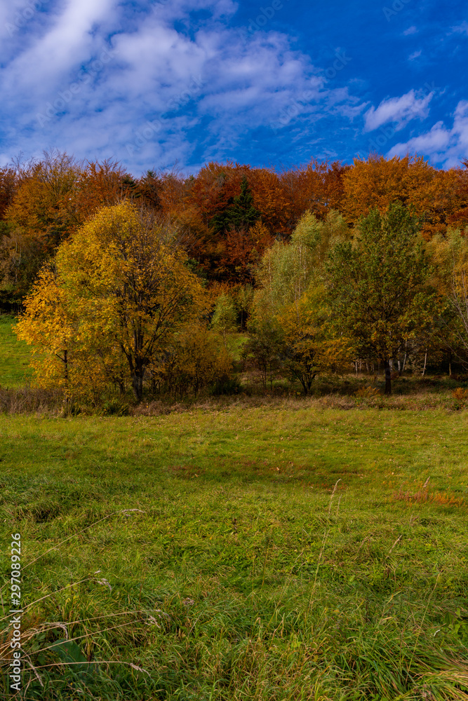 Autumn landscape with trees and blue sky Autumn landscape with trees and blue sky