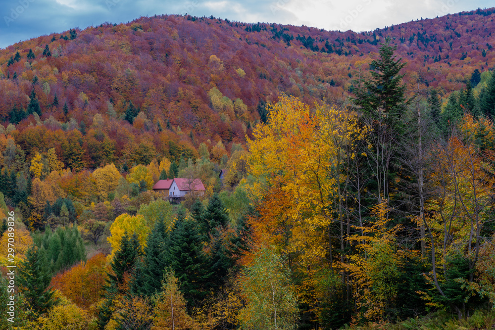Golden Polish Autumn landscape na Oslaku