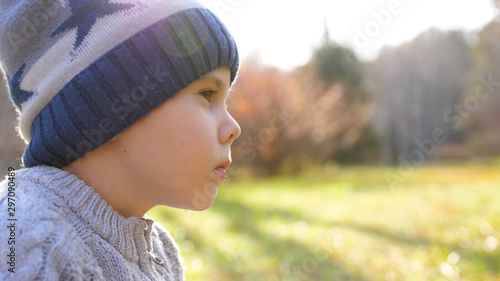 A child in the autumn Park on a picnic. He eats a juicy red Apple. Close up face