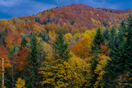 Polish Autumn landscape in Mountains and blue sky