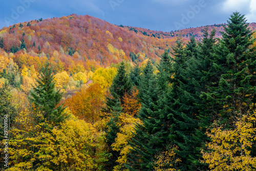 Autumn landscape in Mountains with blue sky