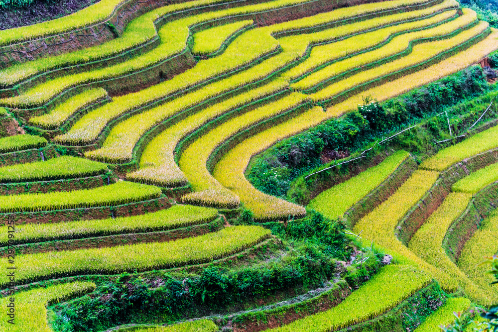 Landscape view of rice fields in Mu Cang Chai District, VIetnam Landscape view of rice fields in Mu Cang Chai District, VIetnam