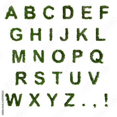 Thin Grass Alphabet. English letters. Font.