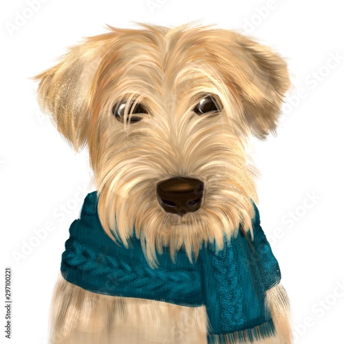Soft coated wheaten terrier with long haired coat with green scarf. Digital art portrait of dog terrier with furry muzzle, hand drawn canine purebred with small ears. Domestic animal cute pedigree.