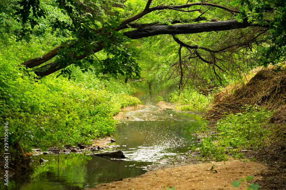 Landscape of river in the forest Landscape of river in the forest