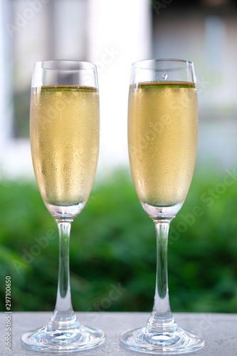 two glasses of champagne on a table in the garden