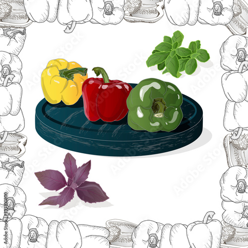 Closeup view pepper on white background  raw food ingredient concept. Hand made vector illustration