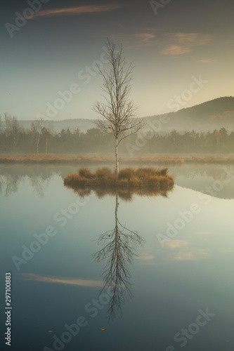 Lake mirroring at sunrise