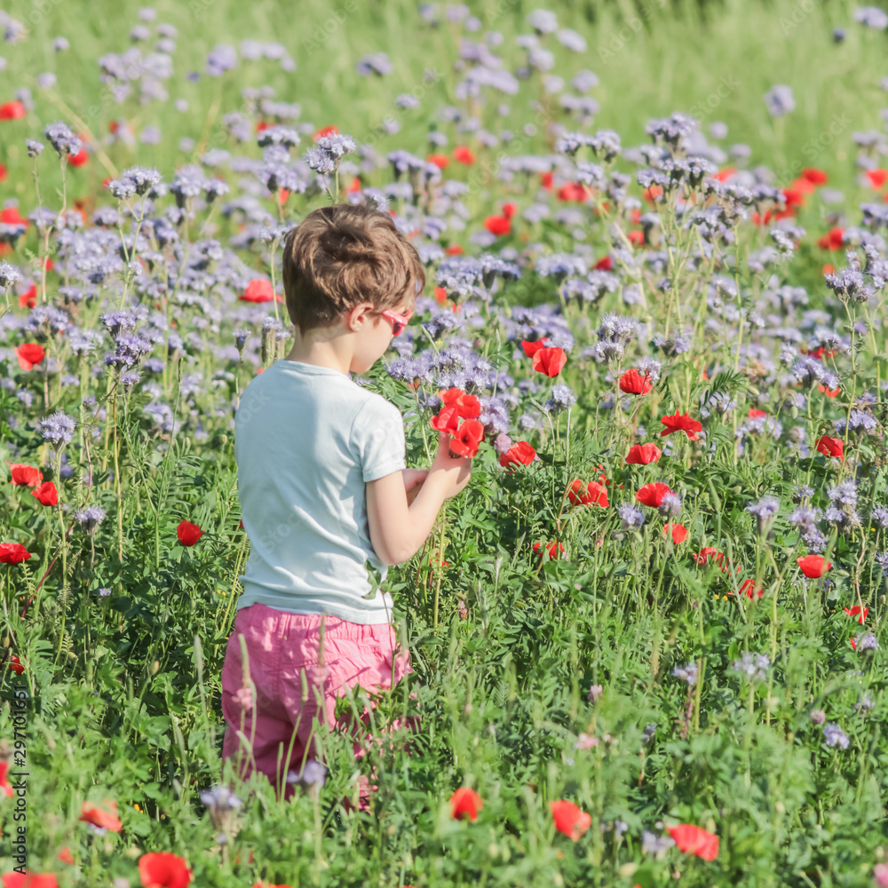Petite fille cueillant des fleurs dans un champ Petite fille cueillant des fleurs dans un champ