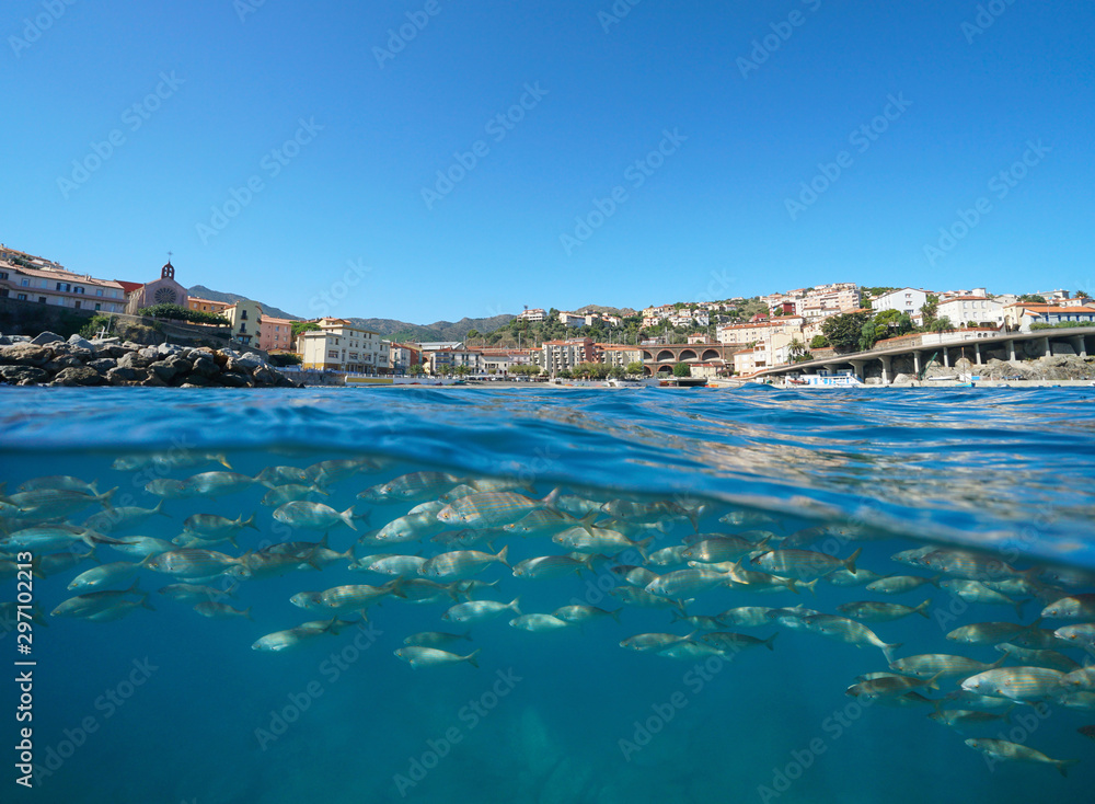 France, coastal town of Cerbere with a school of fish underwater, Mediterranean sea, Pyrenees-Orientales, Occitanie, split view over and under water surface