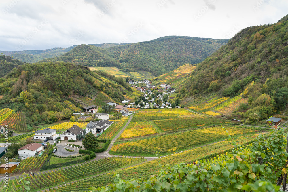 Naklejka premium Hiking on the red wine trail in the Ahr valley in the rain