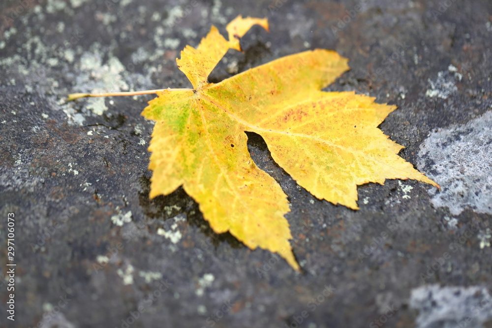 to feel things are moving away and set aside time for the winter to feel things are moving away and set aside time for the winter