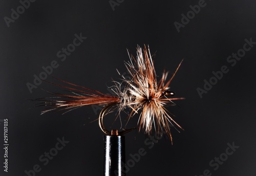 An Adams flyt for Trout fishing