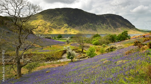 Tourists exploring the Rannerdale  Bluebells