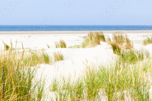 North Sea Beach Dunes, Germany