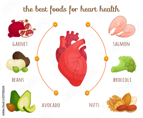 The best food for heart health. Vector infographics on the theme of proper nutrition and healthy lifestyle. Diet for proper heart function. Cartoon style illustration. Banner Landing.