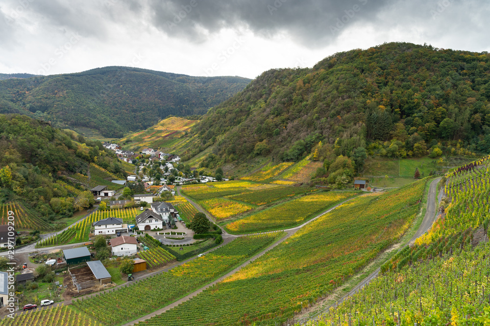 Hiking on the red wine trail in the Ahr valley in the rain - obrazy, fototapety, plakaty 