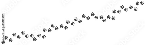 Paw foot trail. Cat and dog walk track silhouette, wild animal and pet paw print texture. Vector image puppy and kitten paw path black template on white backgrounds