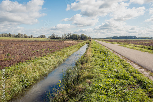 Dutch polder landscape with a ditch photo