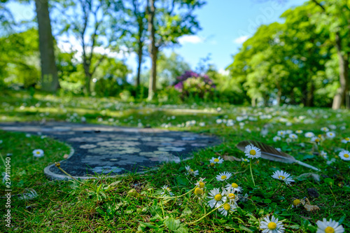 Daisies and footpath with daisy shapes at Leases Park in Necastle  UK