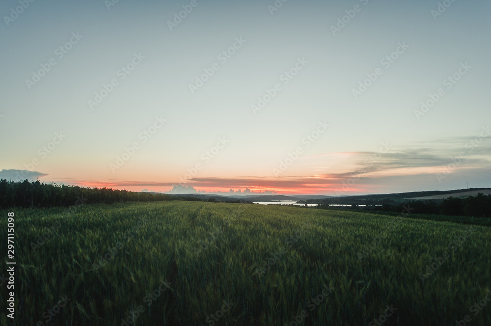 Glowing sunrise over fresh, green field of wheat in spring, Moldova