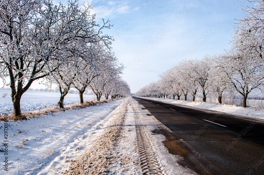 road in winter,Moldova