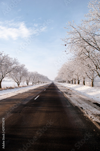 winter road in the park © Artur