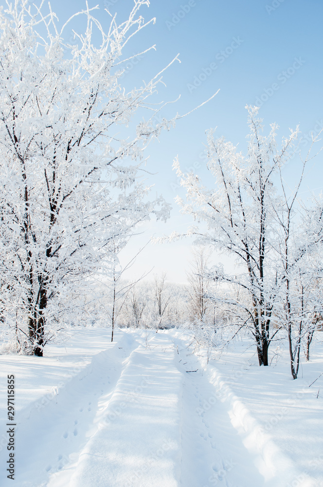 snow covered road snow covered road