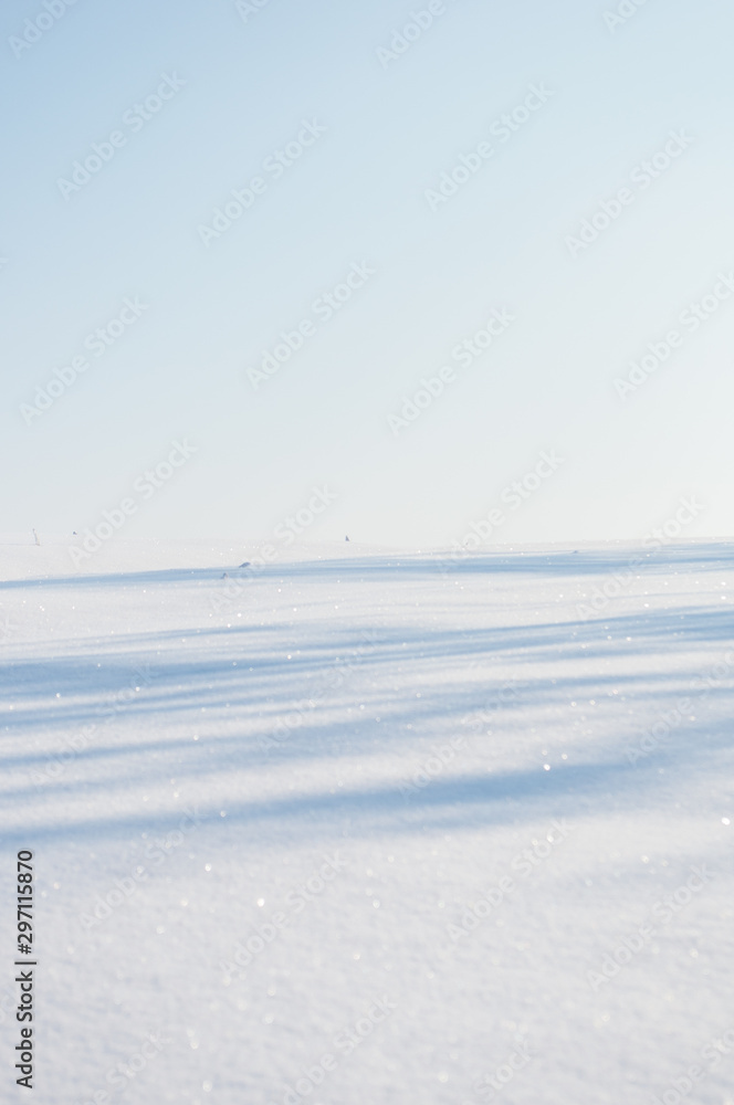 footprints in the snow footprints in the snow