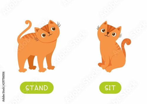 Educational word card with antonyms vector template. Flash card for english language learning with cute kitten. Opposites concept, stand and sit. Adorable cat flat illustration with typography