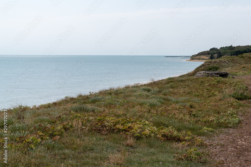 Coastal panorama in french island Ile d'Aix Charente Maritime France
